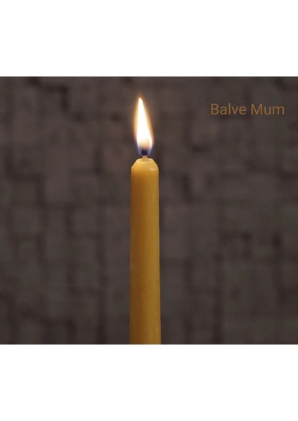 Şamdan Balmumu 6 Adet 26CM×2.3CM fiyatları