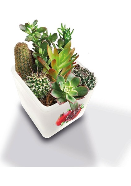 Dekoratif Buzlu Cam Mumluk Nar Desen 8x8 cm (2 Adet) modelleri