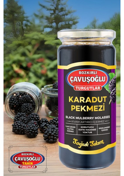 Soğuk Sıkım Karadut Pekmezi 620g Glukoz Içermez fiyatları