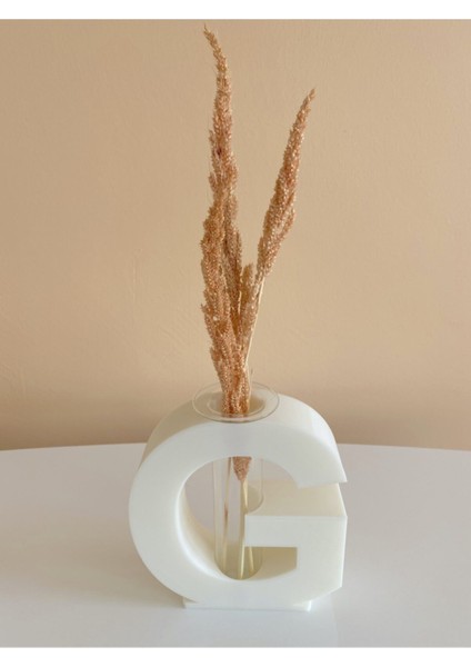 G Harfi Dekoratif Vazo 3D Doğa Dostu fiyatları