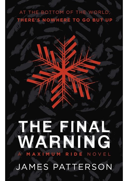 Final Warning: A Maximum Ride Novel: (Maximum Ride 4)