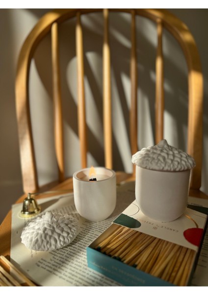 Palamut Dekoratif Kutu Mum fiyatları