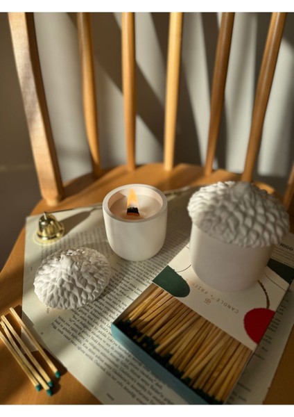 Palamut Dekoratif Kutu Mum modelleri