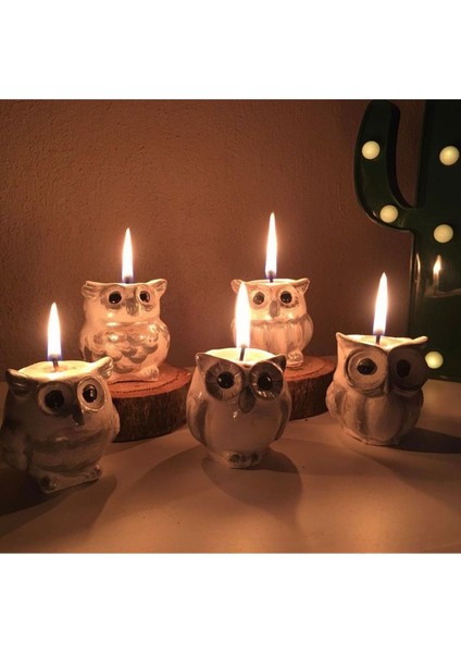 5’li Baykuş Set Mumluk