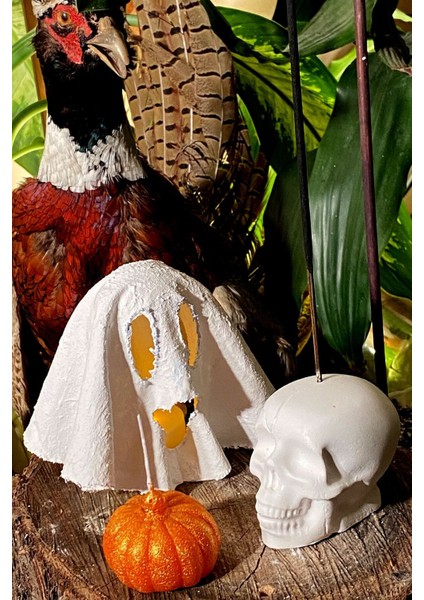 Dekoratif Hediyelik Halloween Serisi Hayalet Model Tealight Mumluk, Kurukafa Tütsülük, Balkabağı