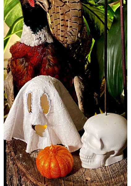 Dekoratif Hediyelik Halloween Serisi Hayalet Model Tealight Mumluk, Kurukafa Tütsülük, Balkabağı