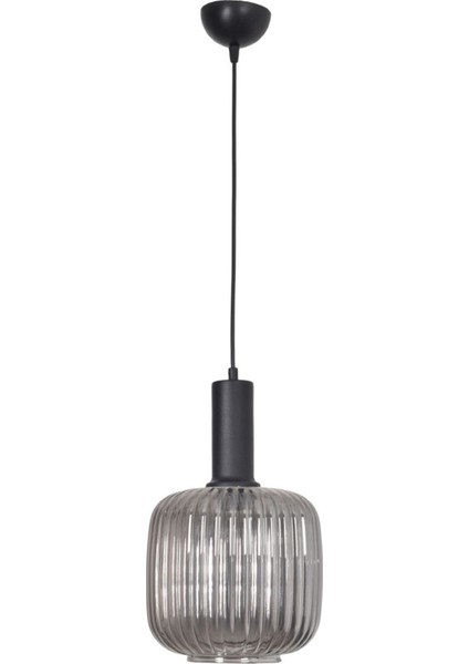 Mark Modern Tasarım Salon Mutfak Yatak Odası Cafe Camlı Tekli Avize