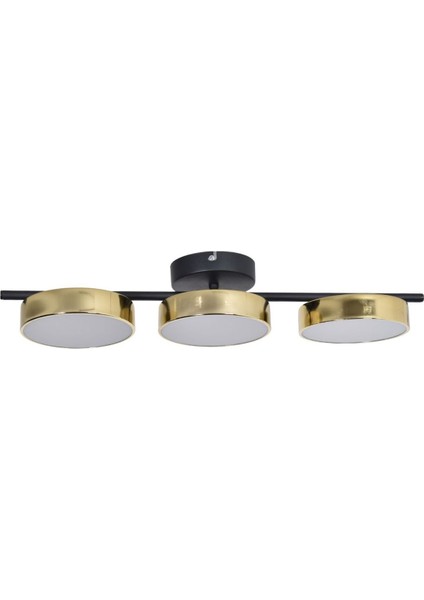 Tual Modern Salon Yatak Odası Giyinme Odası Mutfak Beyaz Işık Ledli Parlak Gold 3 Lü LED Avize