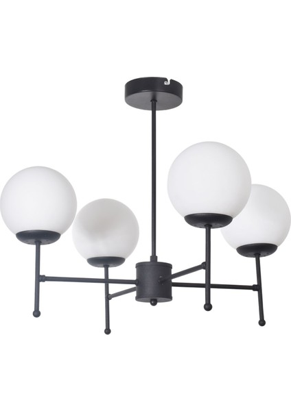 Axel Modern Tasarım Salon Yemek Yatak Odası Mutfak Siyah Renk Beyaz Camlı Sarkıt 4 Lü Avize fiyatları