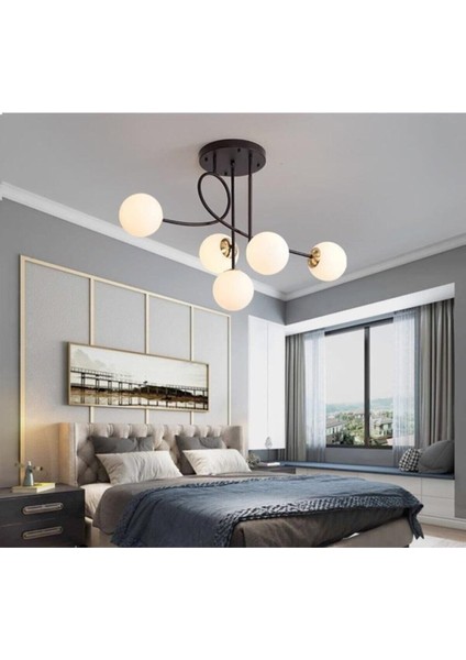 Jade Lüks Modern Salon - Mutfak - Yatak Odası Siyah Renk Gövde Beyaz Camlı 5 Li Avize
