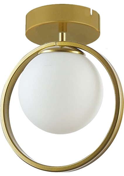 Peri Metal Salon - Mutfak - Yatak Odası Halka Gold Beyaz Tekli Avize