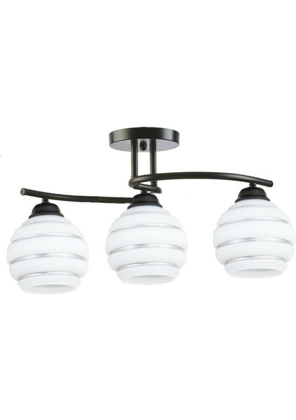 Fuji Modern Salon - Mutfak - Yatak Odası Plofonyer Gümüş Detaylı Camlı 3 Lü Siyah Avize