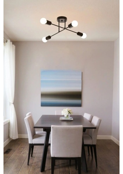 Örümcek Çapraz Salon - Mutfak - Yatak Odası Tavan Plofonyer4 Lü Siyah Avize(Ampulsüz)