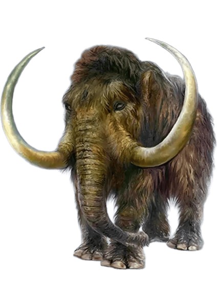 Huacan Sayılarla Yağlı Boya Fil Tuval Üzerine Akrilik Dıy Çerçeve Duvar Sanatı Resim Sayılarla Hayvan Çocuk Odası Dekoru Renk: SZHC7-5644 / Boyut (Cm): 50X65CM Dıy Çerçeve (Yurt Dışından)