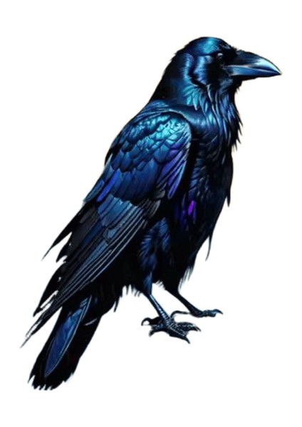 Momoart Bird Paint By Numbers Animal Home Decor No Frame Oil Painting Crow Acrylic Kits On Canvas Home Bedroom Wall ARTWORKCOLOR:AABB-5006/SIZE(CM):30X40CM No Frame (Yurt Dışından)