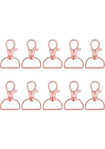 10 Adet Döner Toka Yapış Kancalar D Halkaları Ipi Yapış Kancalar Anahtarlık Klips Kanca Anahtarlık Yapımı Için Metal Istakoz Pençe Toka Çantarenk: D (Yurt Dışından)