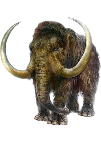 Huacan Sayılarla Yağlı Boya Fil Tuval Üzerine Akrilik Dıy Çerçeve Duvar Sanatı Resim Sayılarla Hayvan Çocuk Odası Dekoru Renk: SZHC7-5644 / Boyut (Cm): 20X30CM Çerçeve Yok (Yurt Dışından)