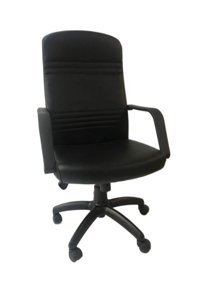 Chair Çalışma Koltuğu