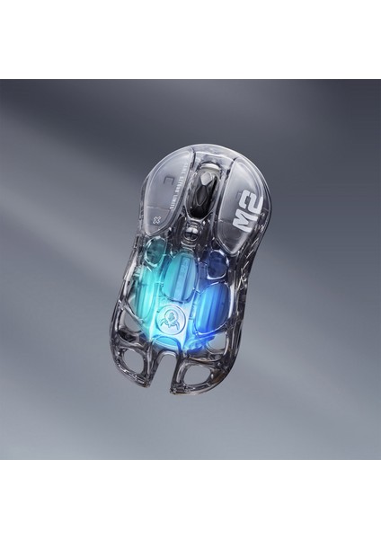 Mercury M2 Rgb 26K Dpı Optik Gaming Mouse, Kablosuz, Programlanabilir 5 Tuşlu, Şeffaf Siyah