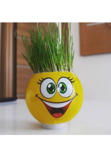 Luxury Emoji Çim Adam 3'lü Paket 1 Adet