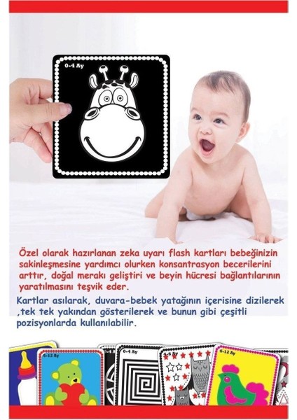 Luxury 1369 Flash Cards Bebeğimin Ilk Zeka Kartları -Dıytoy 1 Adet