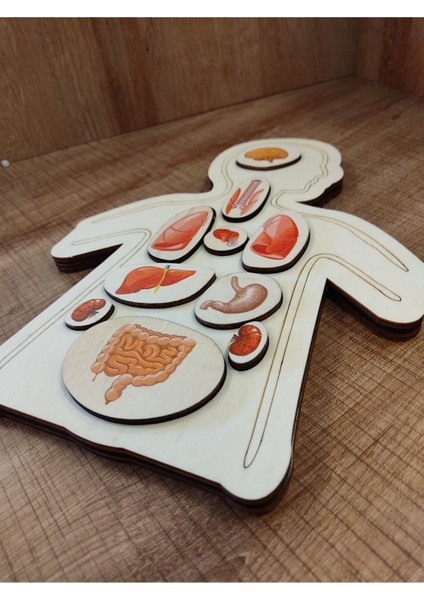 Luxury Renkli Organlar Puzzle 1 Adet