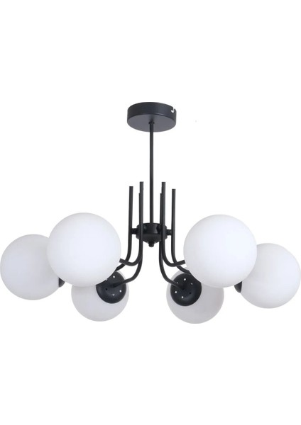 Tanya Modern Tasarım Mutfak - Salon - Yatak Odası - Tavan Siyah Renk Beyaz Camlı 6 Lı Avize fiyatları