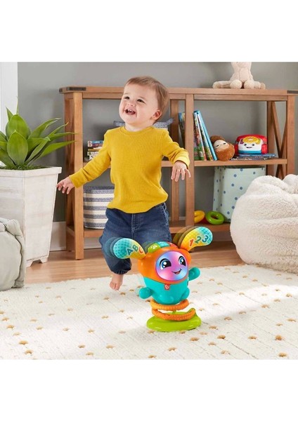 Luxury Fisher-Price® Sevimli Dj | HJP89 1 Adet