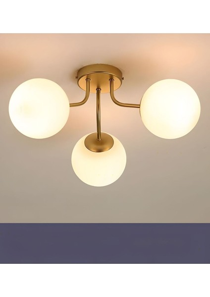 Camlı Modern Mutfak Yatak Odası Salon Avize