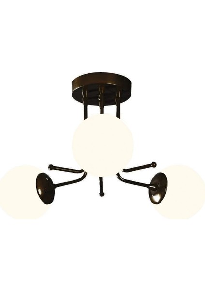 Daisy 3 Lü Modern Tasarım-Rustik-Salon-Mutfak-Yatak Odası - Glop Camlı Siyah Avize