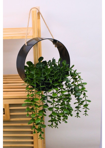 Dekoratif Çerçeve Saksılı Yapay Okaliptuslu Bitki Siyah 19 cm EVA-5844 C1-1-423