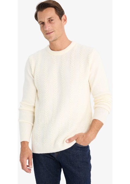 Standart Fit Bisiklet Yaka Triko Kazak E1007AX24WN indirimleri