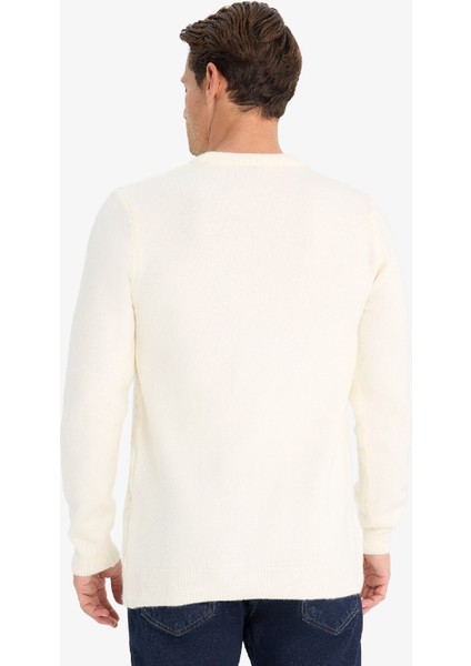 Standart Fit Bisiklet Yaka Triko Kazak E1007AX24WN