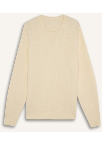 Standart Fit Bisiklet Yaka Triko Kazak E1007AX24WN