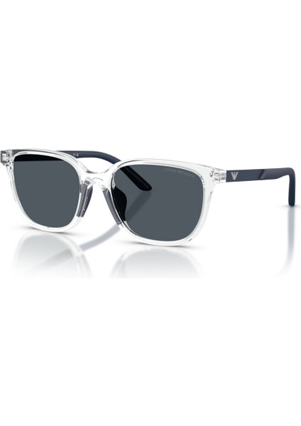 Emporıo Armanı 4006U 589387 49-16 modelleri