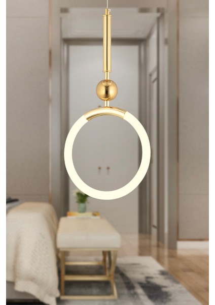 Struer Tekli Gold Ledli Modern Koridor, Yatak Odası Salon Sarkıt LED Avize