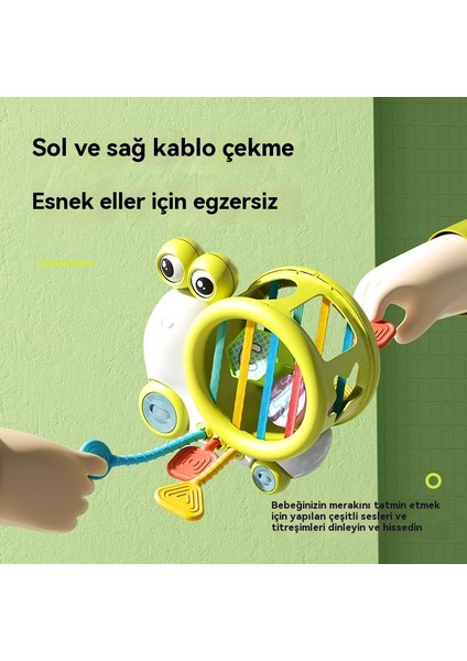 Bebek Salyangoz Sesele Erken Eğitim Parmak Lalala Eğitici Oyuncak (Yurt Dışından) fiyatları