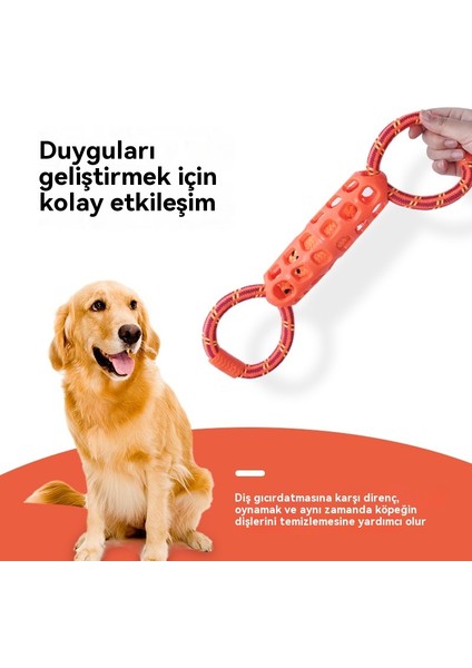 Köpek Düğüm Temiz Diş Halkası Tpr Molar Eğitici Oyuncak (Yurt Dışından)