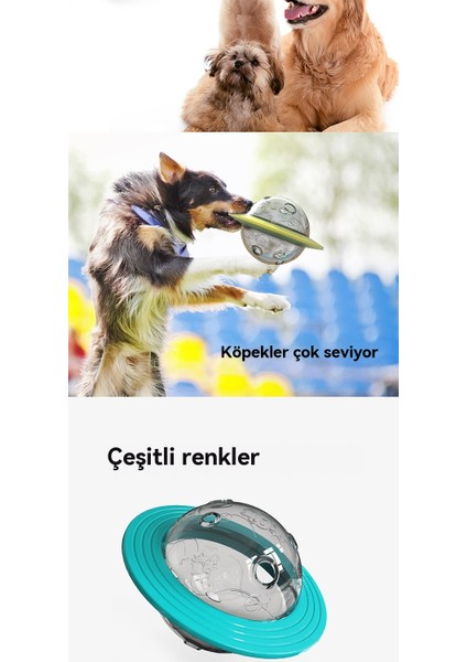 Evcil Köpek Isırmaya Dayanıklı Oyuncak Frizbi Ufo Kaçak Topu (Yurt Dışından)
