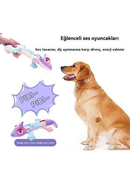 Köpek Kendini Merhaba, Küçük ve Orta Boy Evcil Hayvan Malzemeleri (Yurt Dışından)