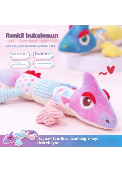Köpek Kendini Merhaba, Küçük ve Orta Boy Evcil Hayvan Malzemeleri (Yurt Dışından)