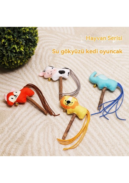 Kedi Komik Kedi Sopa (Yurt Dışından)