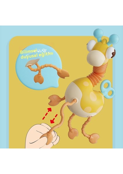 Bebek Bulmaca Eğlenceli Parmak Pompalama (Yurt Dışından)