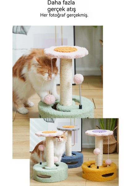 Kedi Tırmanış Rafı Oyuncak Kedi Yakalama Kurulu Kedi Atlama Tabağı Yaratıcı Ayçiçeği (Yurt Dışından)