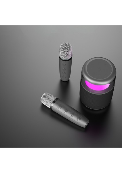 S217 Rgb Işıklı Karaoke Mikrofonlu Bluetooth Speaker Hoparlör V5.3 Siyah