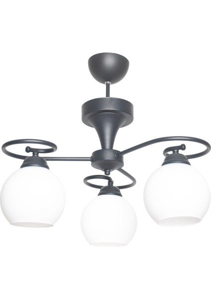 Yonca Modern Siyah Renk Beyaz Camlı Salon - Mutfak - Yatak Odası 3 Lü Avize