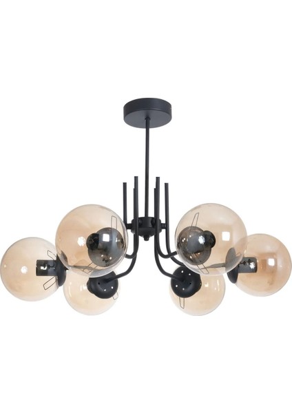 Tanya Modern Tasarım Mutfak - Salon - Yatak Odası - Tavan Siyah Renk Bal Camlı 6 Lı Avize