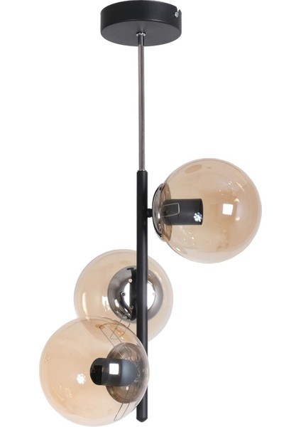 Sarmaşık Modern Lüks Tasarım Siyah Krom Renk Kasa Bal Camlı Salon - Mutfak - Yatak Odası 3 Lü Avize