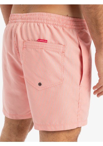 Everyday Deluxe Volley 15 Erkek Mayo fırsatları