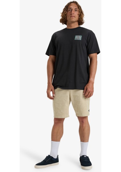 Billabong Crayon Wave Ss Erkek Tshirt modelleri